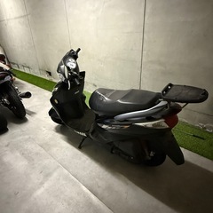 シグナスZの画像