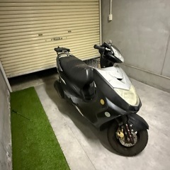 シグナスZの画像