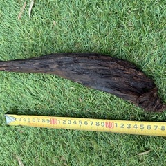 厳選　流木 2点　アかクアリウム テラリウム 爬虫類 熱帯魚　淡水水槽　レイアウト エアプランツ オブジェ　インテリア　唯一無二の画像