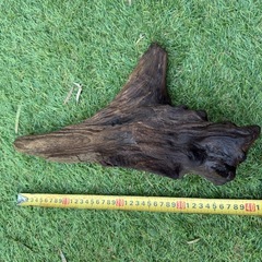 厳選　流木 2点　アかクアリウム テラリウム 爬虫類 熱帯魚　淡水水槽　レイアウト エアプランツ オブジェ　インテリア　唯一無二の画像