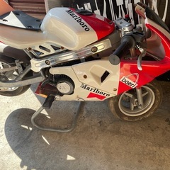 ポケバイの画像