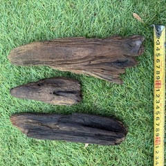 厳選　流木 3点 アクアリウム テラリウム 爬虫類 熱帯魚　淡水水槽　レイアウト エアプランツ オブジェ　インテリア　唯一無二の画像