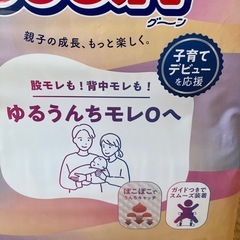 新生児用おむつ　オムツ　赤ちゃん　グーン　ゆるうんちモレ0へ　テープ　エリエール　　　 の画像
