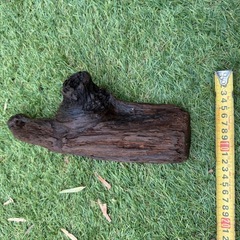 厳選　流木 中くらい　1点 アクアリウム テラリウム 爬虫類 熱帯魚　淡水水槽　レイアウト エアプランツ オブジェ　インテリア　唯一無二の画像