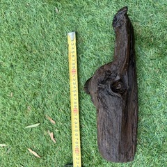 厳選　流木 中くらい　1点 アクアリウム テラリウム 爬虫類 熱帯魚　淡水水槽　レイアウト エアプランツ オブジェ　インテリア　唯一無二の画像