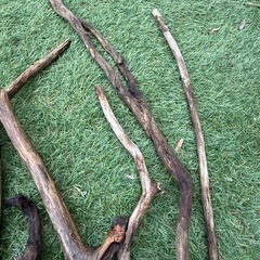 厳選　流木 大きめ 中くらい 13点　アクアリウム テラリウム 爬虫類 熱帯魚　淡水水槽　レイアウト エアプランツ オブジェ　インテリア　唯一無二の画像