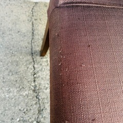 ダイニングチェア　カバー付　こげ茶　椅子の画像