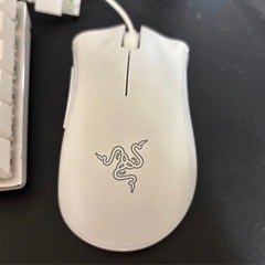 きーまうの画像