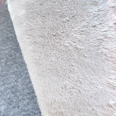 大判 極暖 2倍  4畳 カーペット ラグ   特大 裏起毛　中古    200×290cm   極厚 ファイバーヒート モイスト クラッシープレミアム  潤っとリッチラグ　の画像