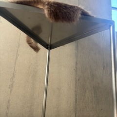 【ほぼ未使用品】トリゴンチェア(幾何学チェア) /購入価格80,000円の画像