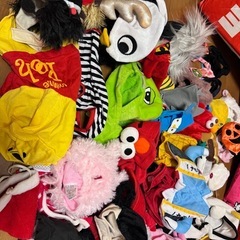 猫まとめ売りの画像