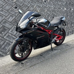 大特価！メガリ250R美車！エンジン不動車の画像