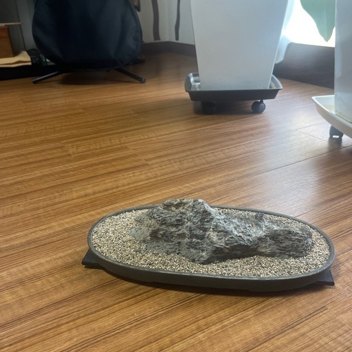 鑑賞用石
