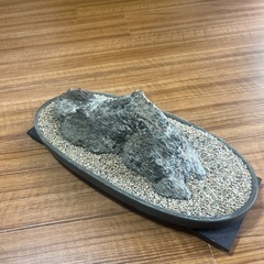 鑑賞用石の画像