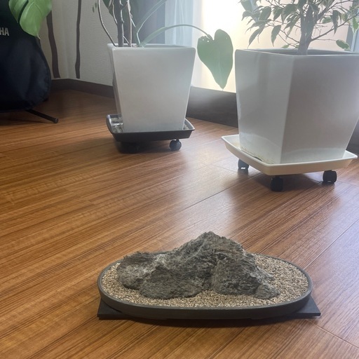 鑑賞用石