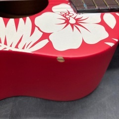 1278 AlaMoana ソプラノウクレレ UK-100G/HRDの画像