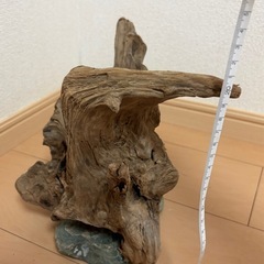 流木（石付き）の画像