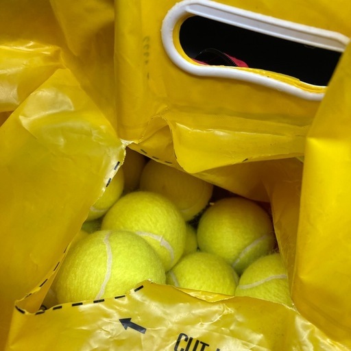 1279 Wilson 硬球 テニスボール セット売り 54球
