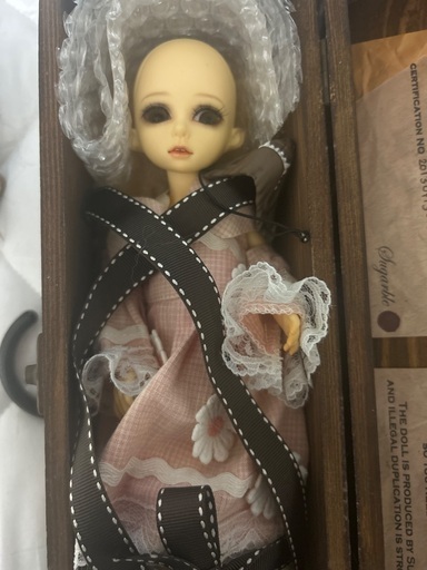 【中古】球体関節人形　ドール本体2体、アイ、ウィッグ、洋服(一部)値下げしました【急募】