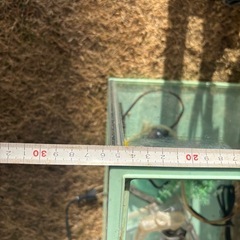 水槽セットの画像