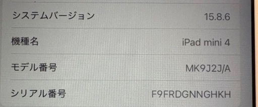 iPadmini 4世代 WiFiモデル 64GB