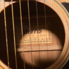 モーリス  アコースティックギターの画像