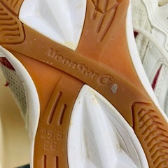 ムーンスター 体育館履き ジムスター1000T 25.5cm EEの画像