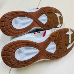 ムーンスター 体育館履き ジムスター1000T 25.5cm EEの画像