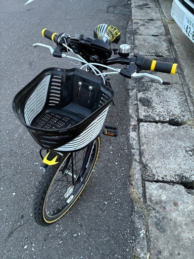 ブリヂストン20インチ子供マウンテン自転車