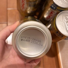 トリスハイボール 新橋トリスバー監修ハイボール〈パイナップル〉350ml×14本 [サントリー ウイスキー 日本 ハイボール 缶]の画像