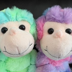 ぬいぐるみレインボーさる2点セットの画像