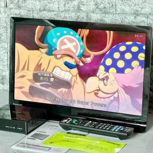 2025年製 Panasonic「プライベート・ビエラ」UN-19F11D