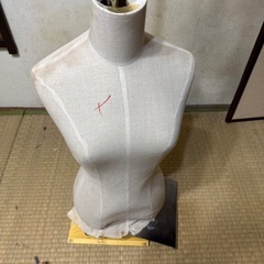 壊れたトルソーの画像