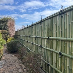 建仁寺垣根用割竹二間半分の画像