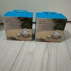 【新品未使用】　佐世保、大村OK  エコーバッズ　2個セットの画像