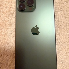 iPhone13promax  アルパイングリーン256GBの画像