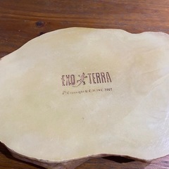 爬虫類　水入　エキゾテラの画像