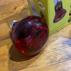 バスキングライトの画像