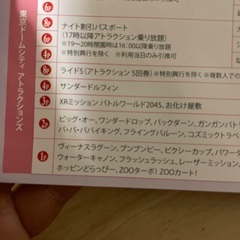 今月いっぱい急ぎ！特10チケット🩵東京ドームシティの画像