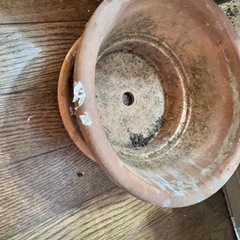 鉢植えの鉢セットの画像