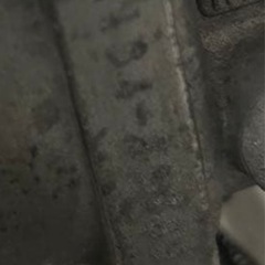 スズキモレット！！
の画像