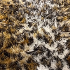 シートクッション　車　座席の画像