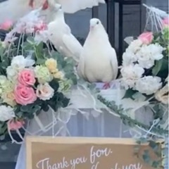 沖縄本島で新しいチャレンジを一緒にしませんか？ 