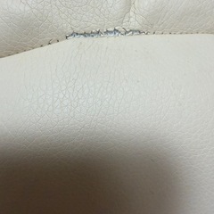 テディハグの画像