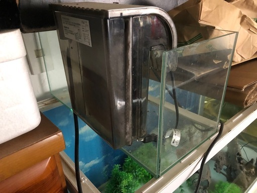 値下げ！大型水槽 
