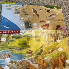 はっけんずかんどうぶつ、うみの画像