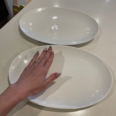 パスタ皿　ステーキ皿　大　ペア2枚の画像