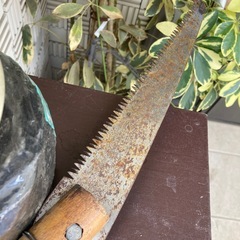 ちょっと太い枝などに　手作りノコギリの画像
