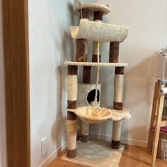 キャットタワーの画像