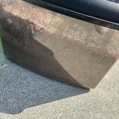 カブトムシetc 幼虫　昆虫　飼育セット！の画像